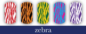 Zebra Stripe Nail Art Designs